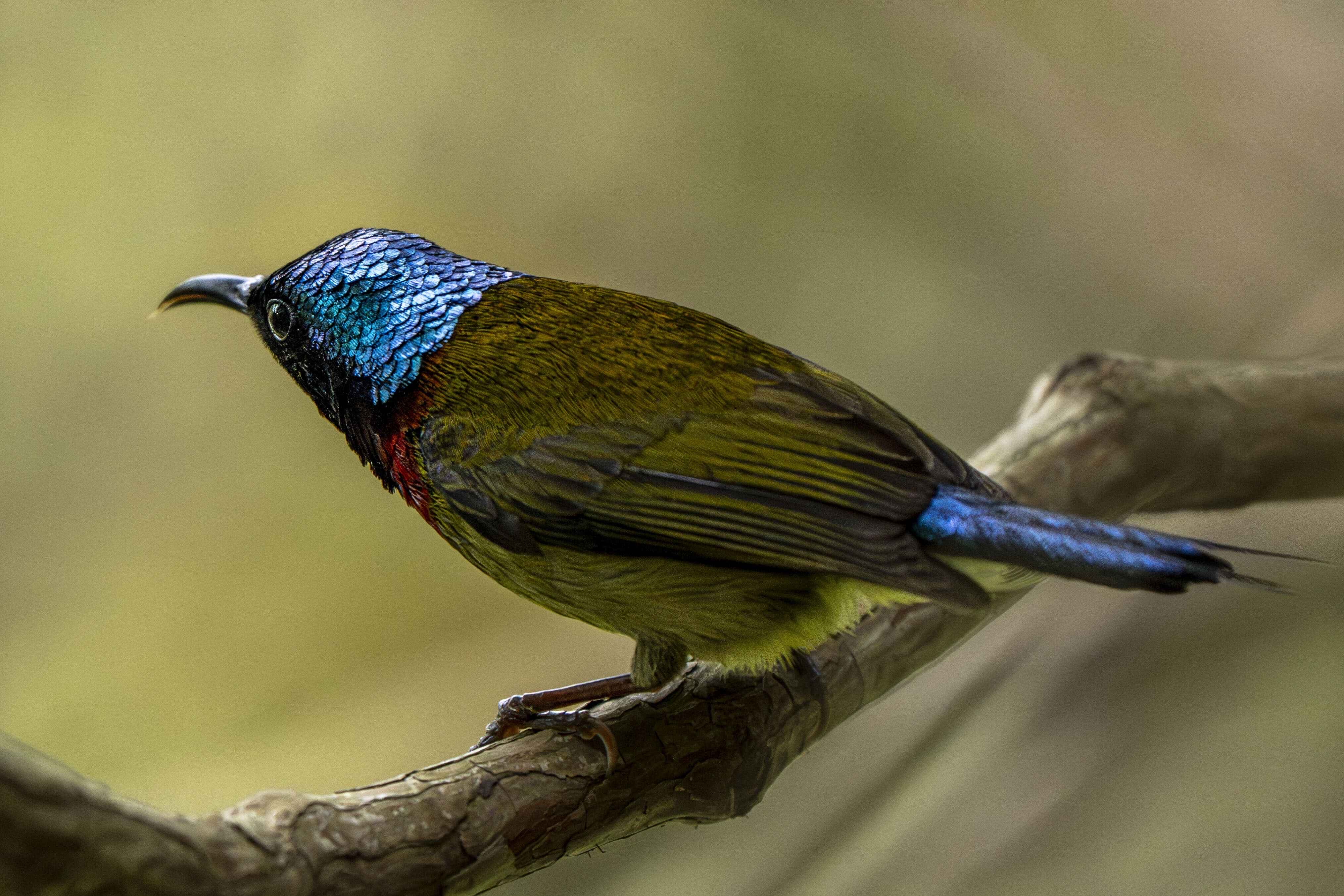 {744F73A1-5782-994A-C058-BF3EF32C29D1}